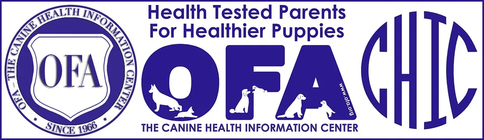 OFA and CHIC: health-tested parents for healthier puppies