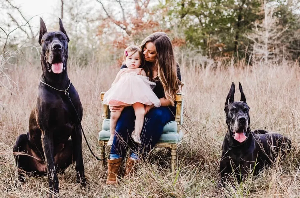 A mother and daughter in a meadow with two black Great Danes