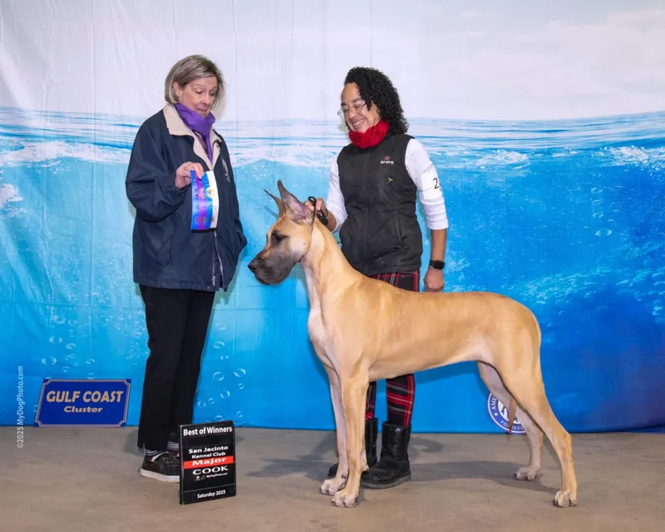 Neera in a win photo at a Gulf Coast show