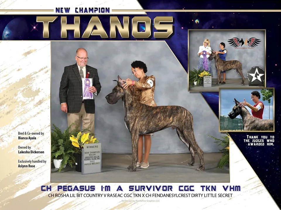 New champion announcement for CH Pegasus I'm a Survivor, Thanos