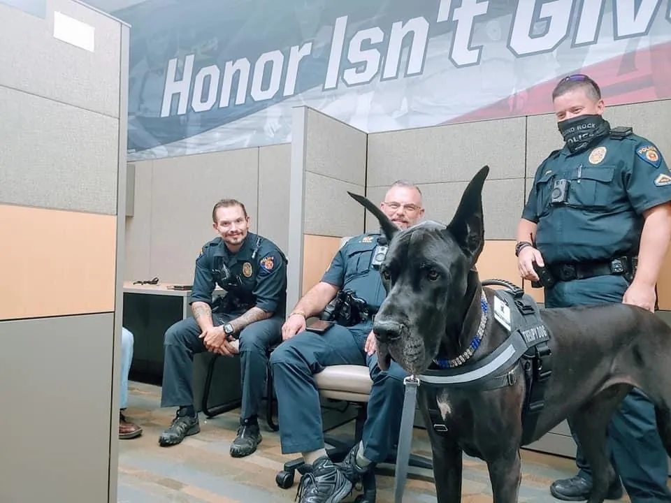 A Pegasus therapy dog in a working vest visiting with police officers